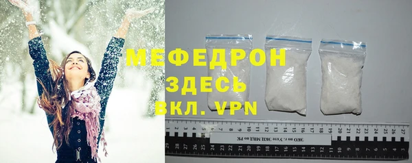 индика Богородицк