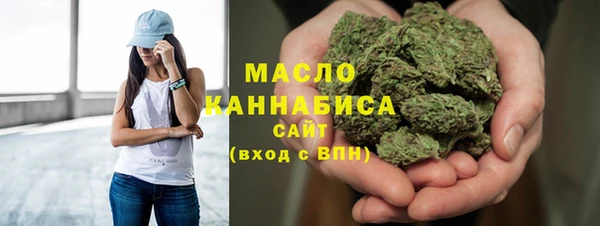 индика Богородицк