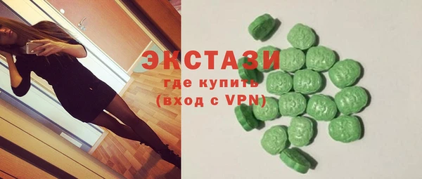 индика Богородицк