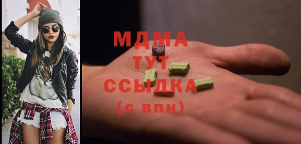индика Богородицк