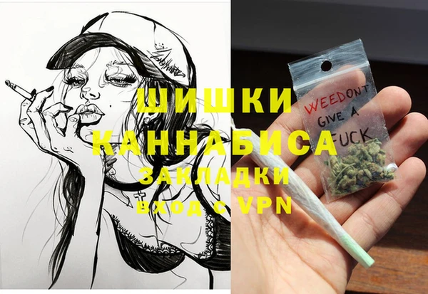 индика Богородицк