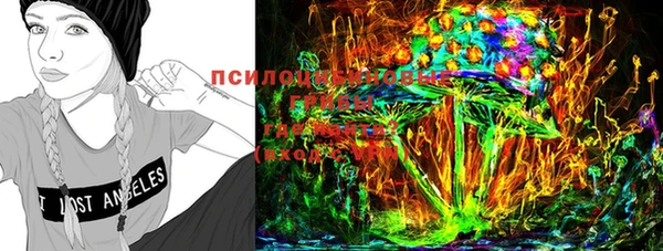 индика Богородицк