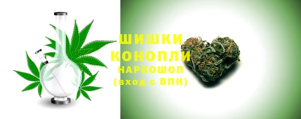 индика Богородицк