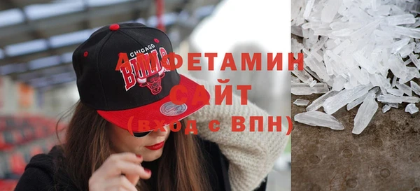 индика Богородицк
