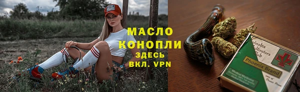 индика Богородицк