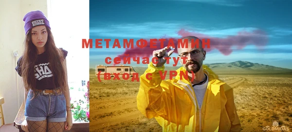 индика Богородицк