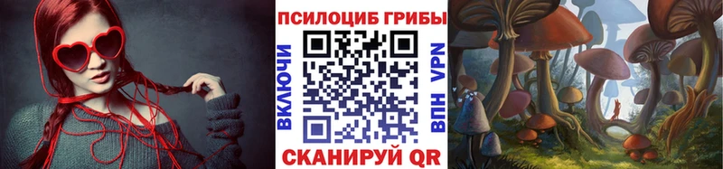 darknet телеграм  Бузулук  Псилоцибиновые грибы мухоморы  ссылка на мегу зеркало 