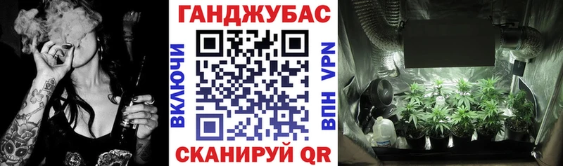 Конопля планчик  Бузулук 